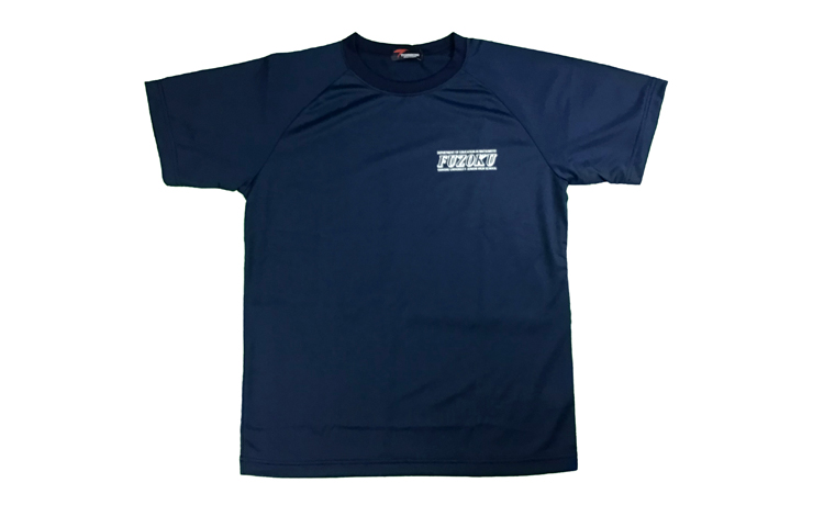 fuzokuchu-hansodesyatsu